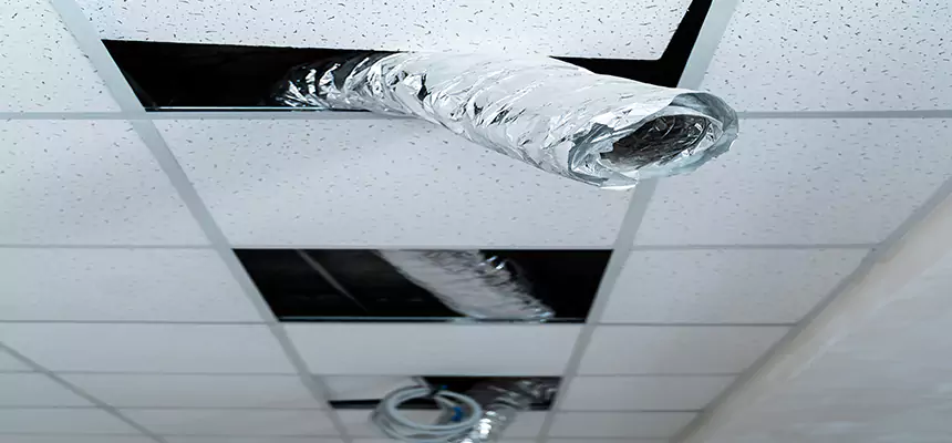 Affordable HVAC Sanitizing After Pest Removal in New River