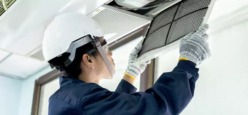 Our Mold & Mildew Removal from Air Ducts Services in New River, AZ