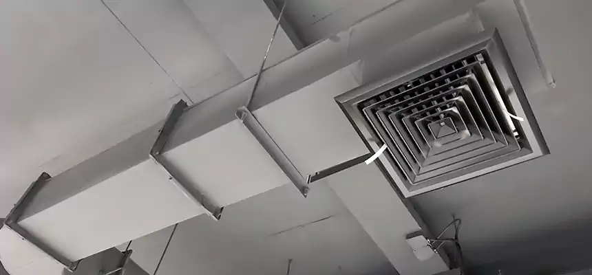 Our Pest Removal From Ducts Services in New River, AZ