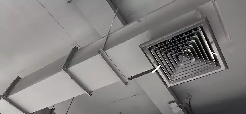 Our Rodent Droppings In Vents Services in New River, AZ