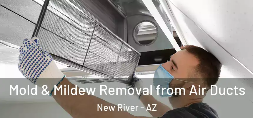  Mold & Mildew Removal from Air Ducts New River - AZ