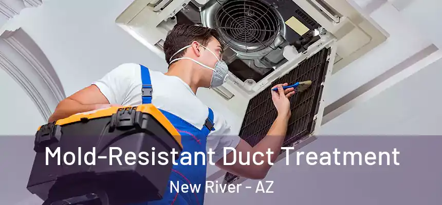  Mold-Resistant Duct Treatment New River - AZ