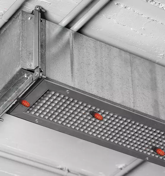 About Air Duct Cockroach Removal in New River, AZ