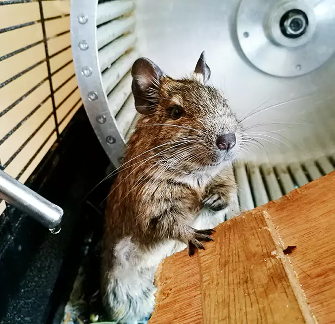 Why Homeowners & Businesses Trust Us New River, AZ