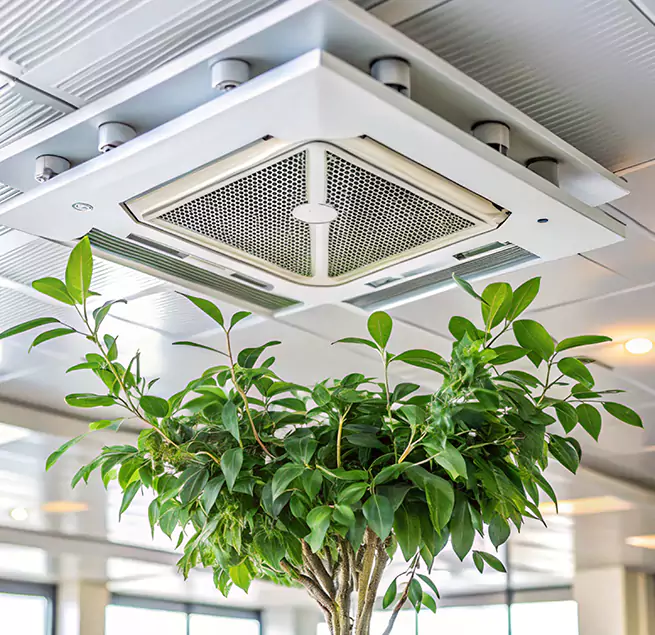 Why Homeowners & Businesses Trust Us in New River, AZ?